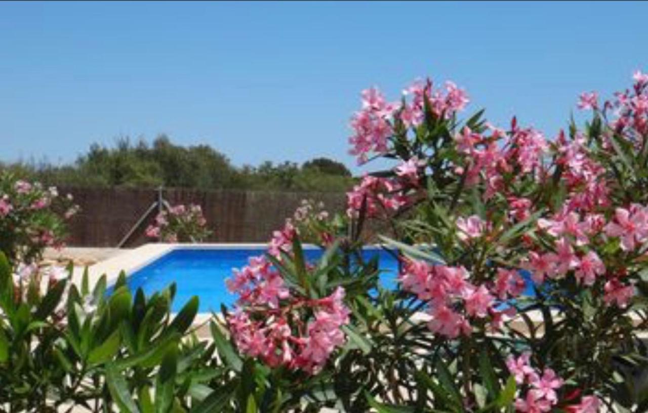 Hébergement de vacances Casa Luz Solar - Schoene In Strandnaehe, Privatpool, Klimaanlage, Wifi *